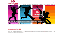 Desktop Screenshot of hochems.com
